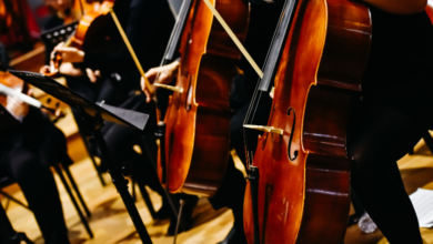 matz cello quartet in d minor atlanta symphony orchestra